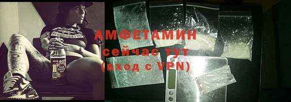 прущие грибы Зеленодольск