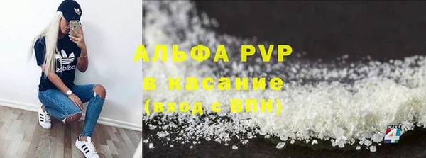 прущие грибы Зеленодольск
